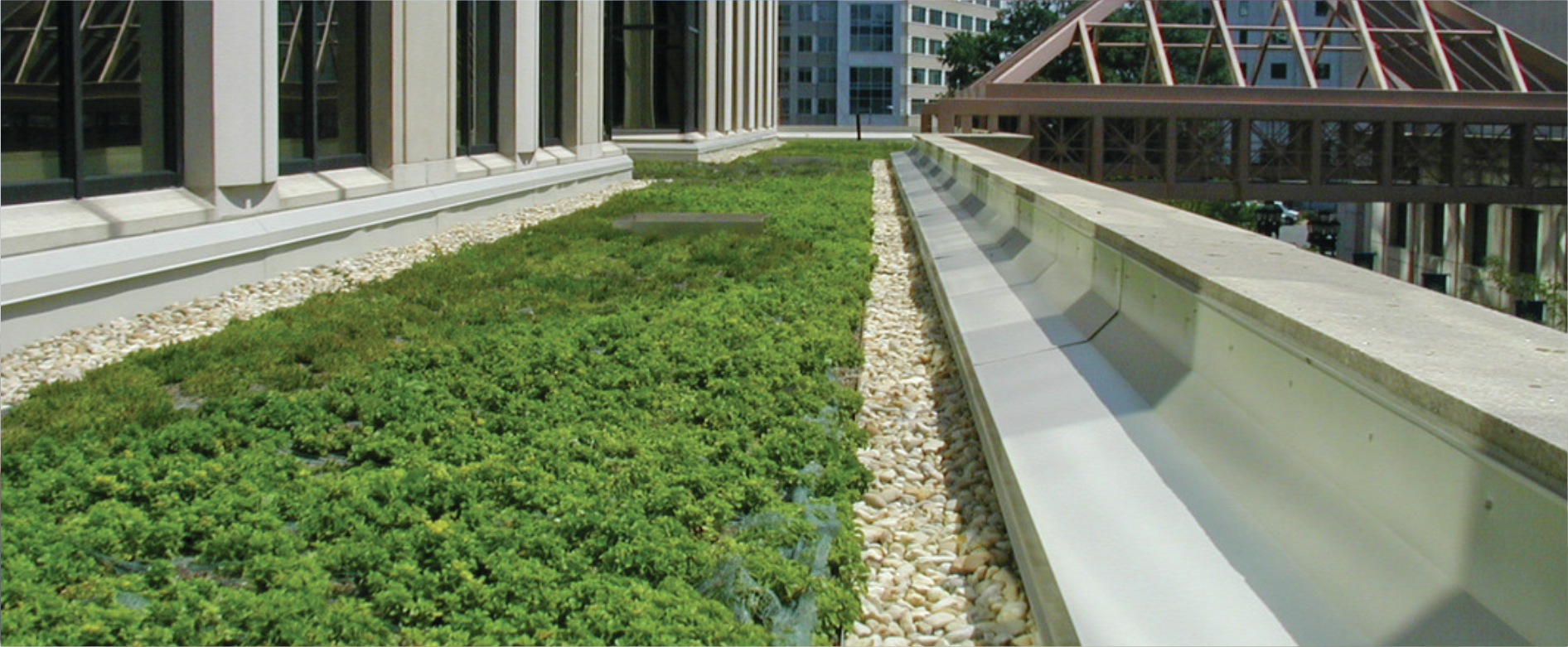 Зеленые кровли