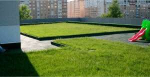 Зеленые эксплуатируемые кровли